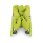 Chicco Pocket Relax Baby Bouncer (Green)