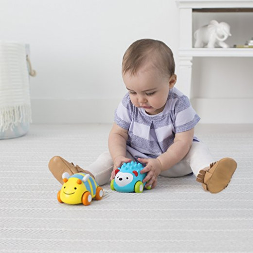 Skip Hop Explore and More Pull-and-Go Toy Car, Hedgehog