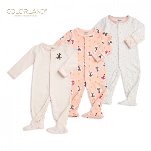 Colorland - Baby Romper / Pink Princess 3 Pieces In One Pack - 9-12 Months