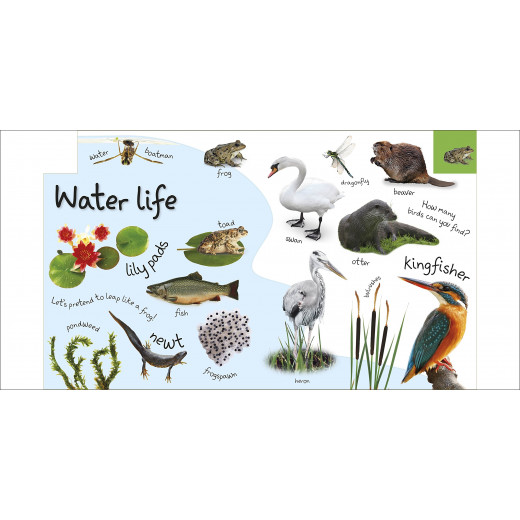 My First Nature Board book