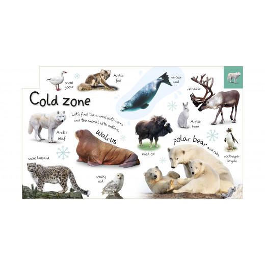 My First Zoo Board book