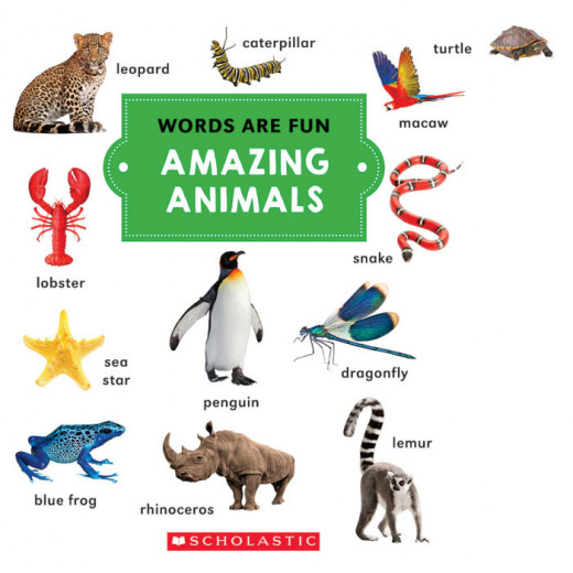 Amazing Animals (Words Are Fun), 12 pages