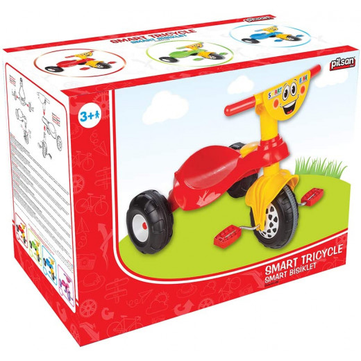 Pilsan Smart Tricycle Box