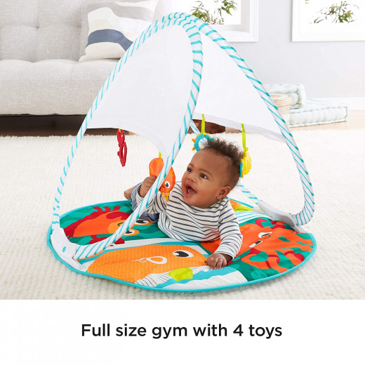 Fisher-Price Fold & Go Portable Gym