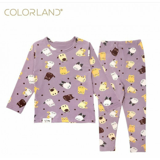Colorland 2 pieces Set for all season 24-36 Months