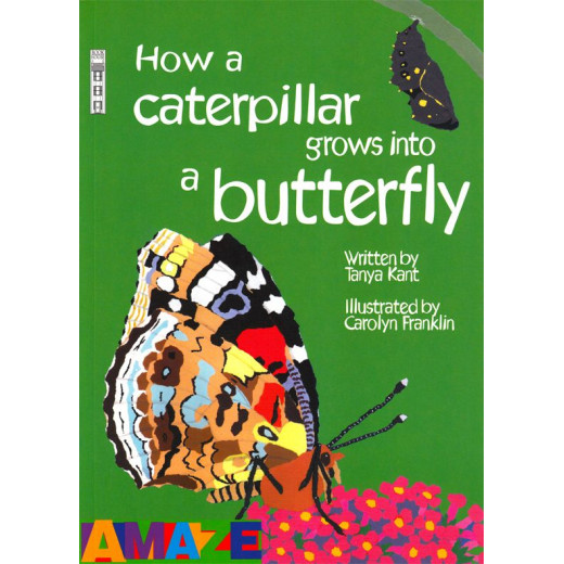 كاتربيلر لكتب الفراشة للأطفال