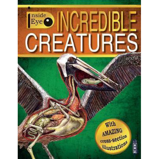 Inside Eye: Incredible Creatures/Channing Children's Books