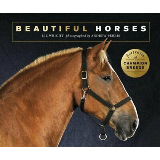Beautiful Horses Book