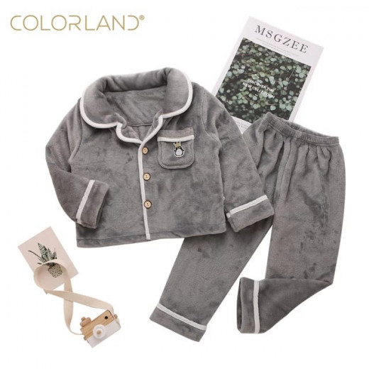 Colorland Pijama Top + Bottom For Kids - 3 Years - Grey