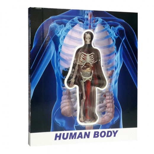 اكتشف جسم الإنسان
