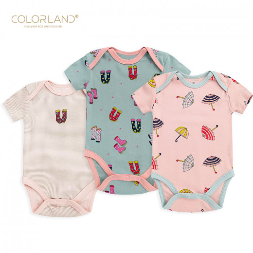 Colorland - (6) Baby Bodysuit 3 Pieces In One Pack, 0-3 Months, Winter