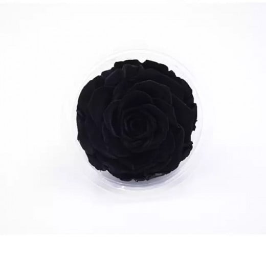 Forever Black Rose