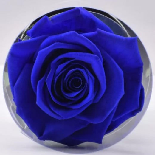 Forever Blue Rose