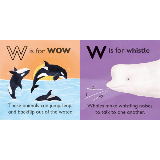 DK Book : W Is For Whale