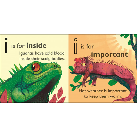 DK Books Publisher Book: ( i ) Is For Lguana