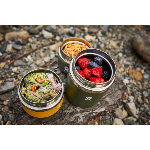 Hydro Flask Insulated Food Jar - Stainless Steel with Leak Proof Cap, Chili