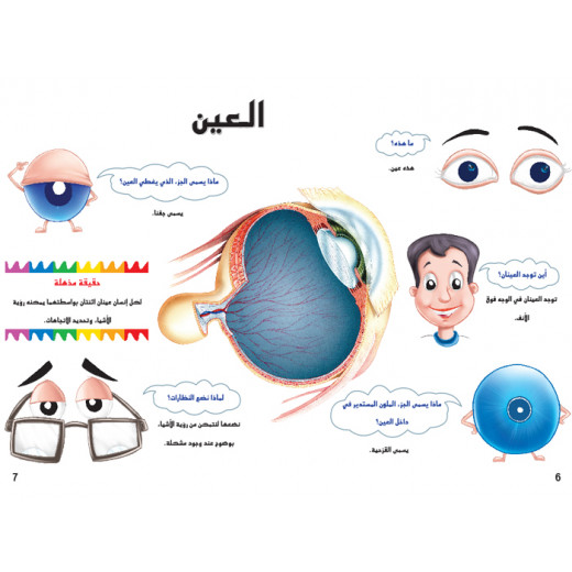 Dar Al Manhal My First Questions And Answers: The Human Body