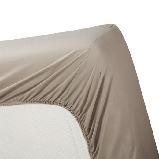 Bedding house fitted sheet set, cotton, taupe color, twin size, 2 pieces