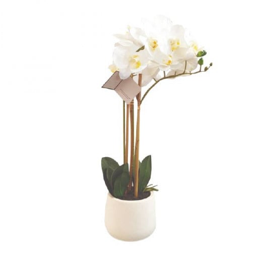 Nova home magnolia flower arrangement pot, white color