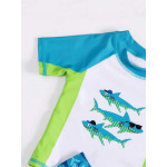 ملابس سباحة الشاطئ للأولاد ، مطبوعة برسومات كرتونية، بألوان متنوعة