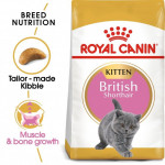 طعام القطة بريطانية, قصيرة الشعر, 2 كيلو من رويال كانين