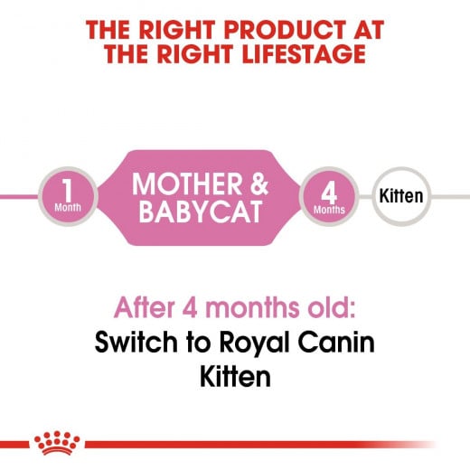 طعام القطط, للأم و الطفل, 10 كجم من رويال كانين