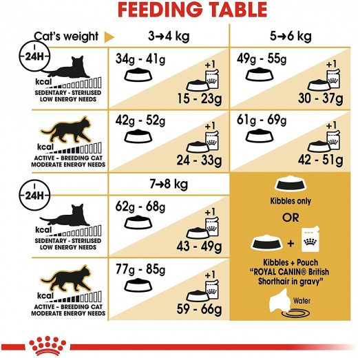 Royal Canin British Shorthair Cat Food, 4 Kg
