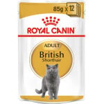 طعام قطط بريطاني للشعر القصير ، 85 جرام رويال كانين