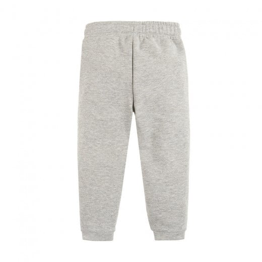 Cool Club Sport Trouser, Grey Color