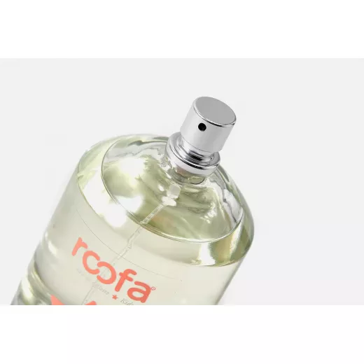 Roofa Boys Perfume, Saudi Arabia Edtm 100 Ml , 2  Packs