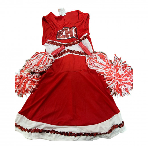 K Costumes | Kids HSM Cheerleader Costume | Small