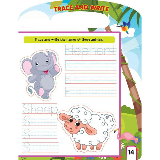 Dreamland | Write And Wipe Book | Animals | An Early Learning Book For Kids