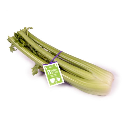 Celery Fresh, Size 700 Gm